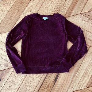 Evereve Holly Velour Pleated Pullover Wine S